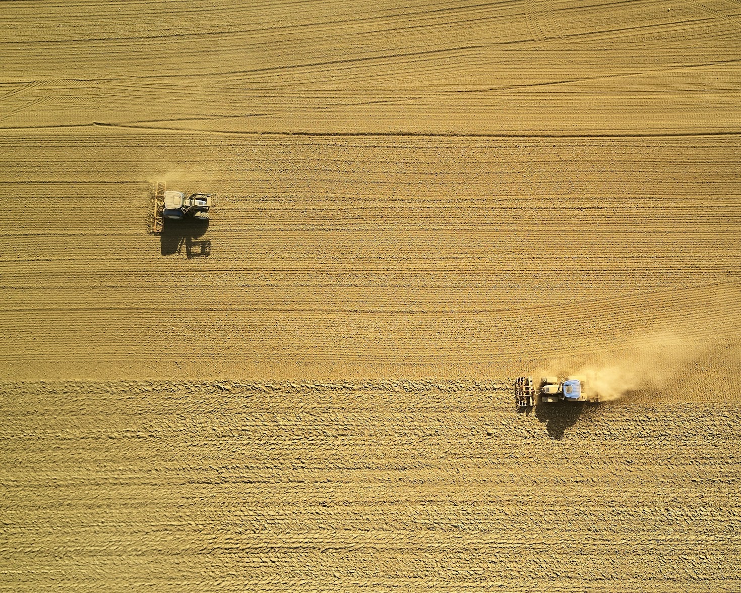 Top 10 Farming Innovations Changing Kenya