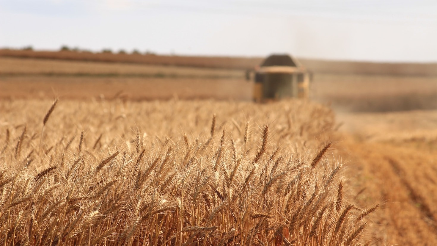 Empowering Women in Kenyan Agriculture