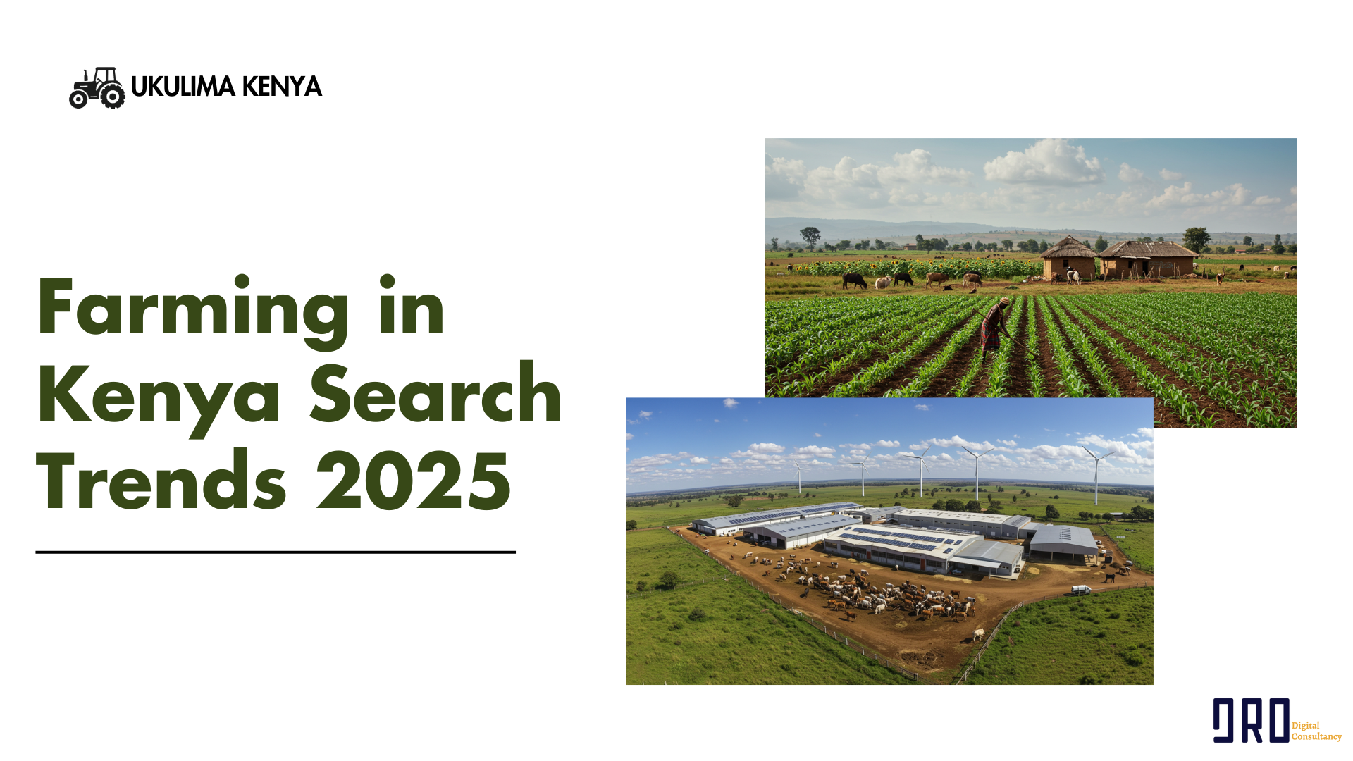 Digital Snapshot of Kenya’s Farming Interests (Jan–Aug 2025)