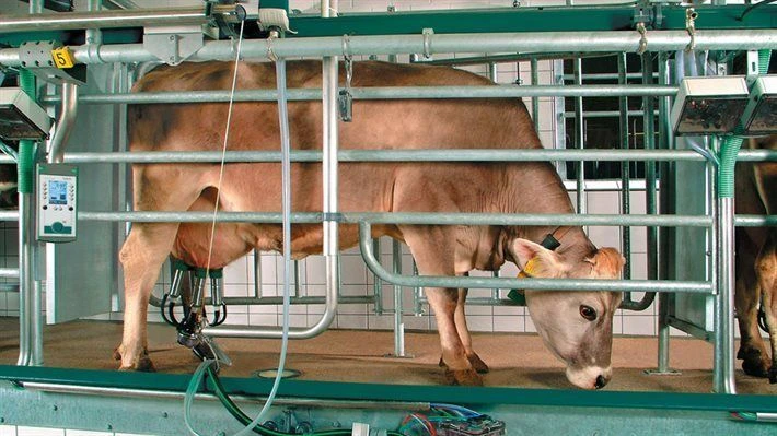 Dairy equipment trusted sourcing patner | 0727409419