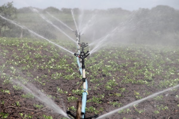Irrigation in Kenya